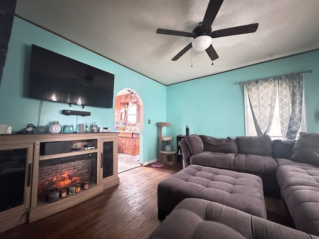 living room with ceiling fan and hardwood / wood-style flooring