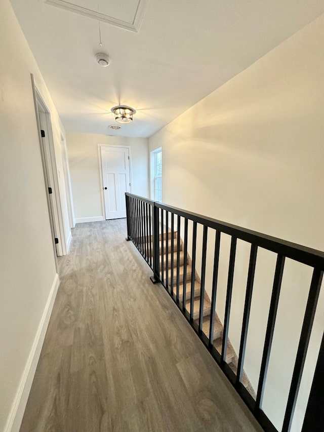 hallway with hardwood / wood-style floors