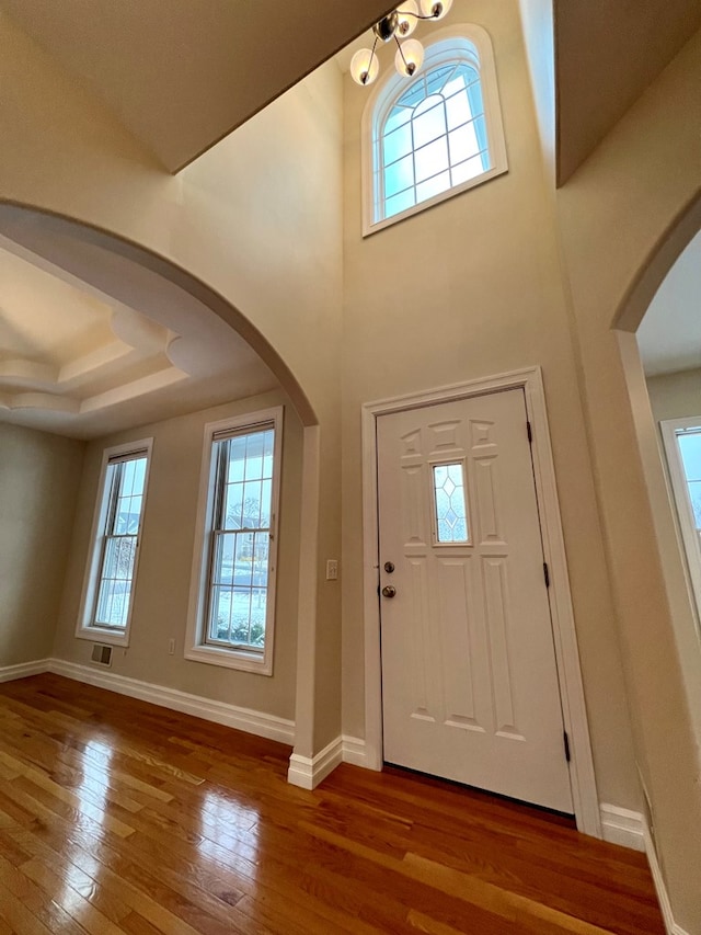 foyer entrance with hardwood / wood-style flooring and a healthy amount of sunlight