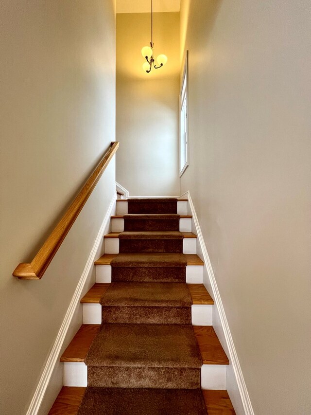 staircase featuring wood-type flooring