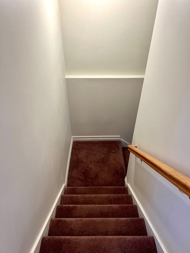 staircase featuring carpet