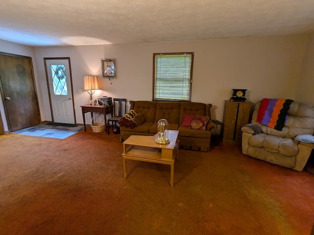 carpeted living room featuring a textured ceiling