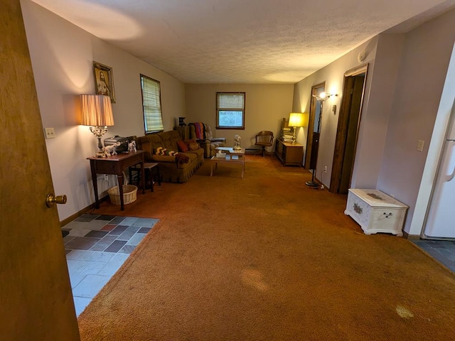 living room featuring carpet flooring and a textured ceiling