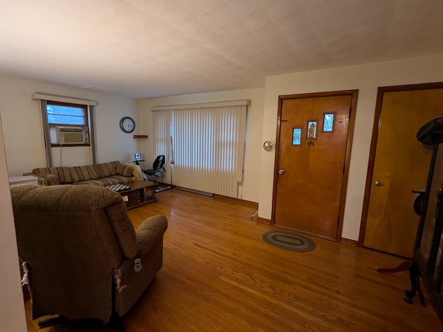 living room featuring light hardwood / wood-style flooring