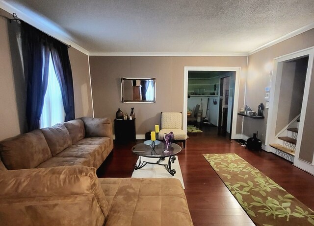 living room featuring a textured ceiling, dark hardwood / wood-style flooring, and crown molding