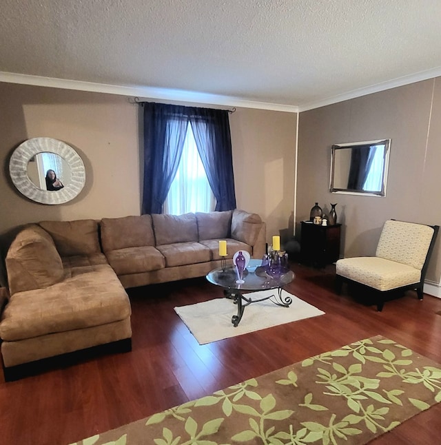 living room featuring dark hardwood / wood-style flooring, crown molding, and a textured ceiling