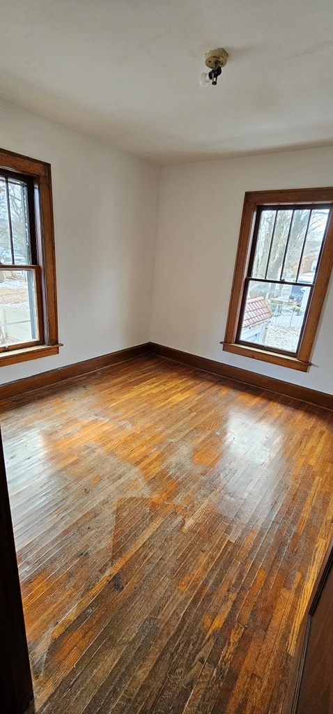 spare room with a healthy amount of sunlight and light hardwood / wood-style floors