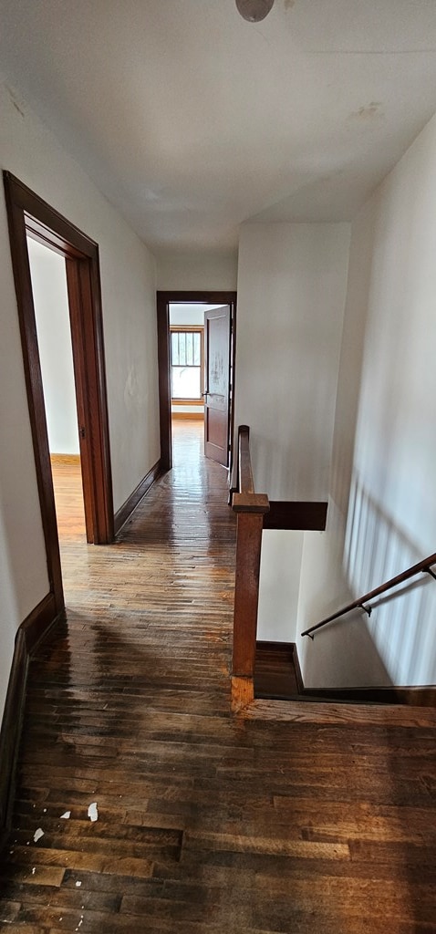 hallway featuring dark hardwood / wood-style floors