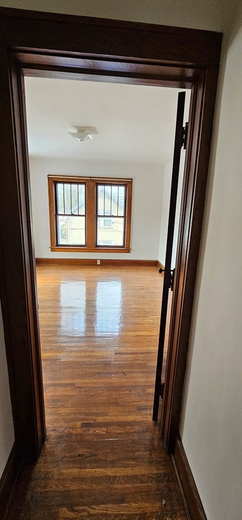 hallway with dark hardwood / wood-style floors