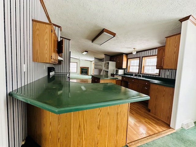 kitchen with a textured ceiling, kitchen peninsula, and sink