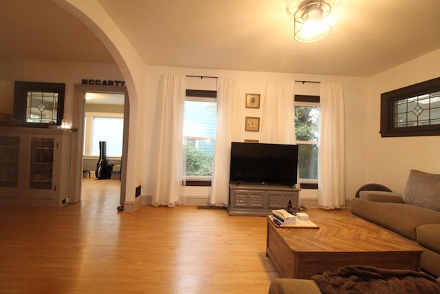 living room featuring light hardwood / wood-style floors and a wealth of natural light