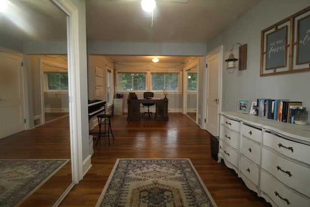 hall with dark wood-type flooring