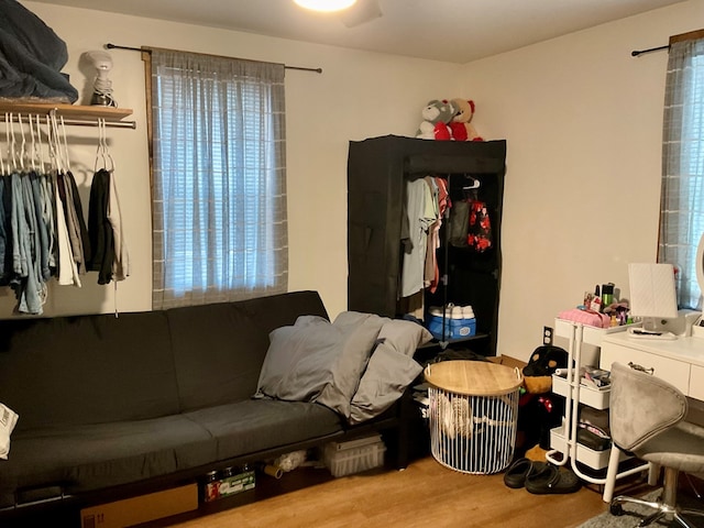 living room with hardwood / wood-style flooring