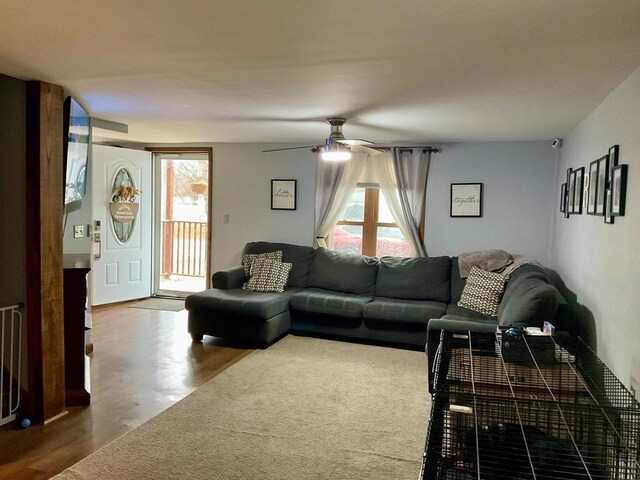 living room featuring ceiling fan and hardwood / wood-style floors