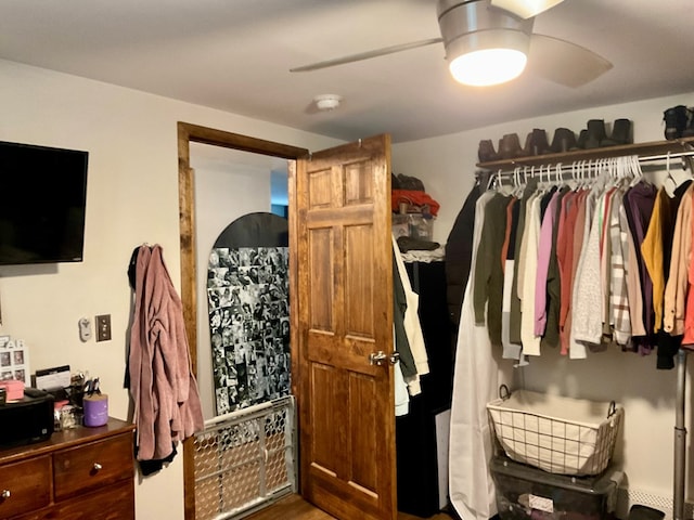 spacious closet featuring wood-type flooring and ceiling fan