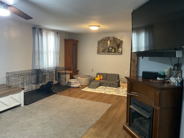 living room featuring hardwood / wood-style flooring and ceiling fan