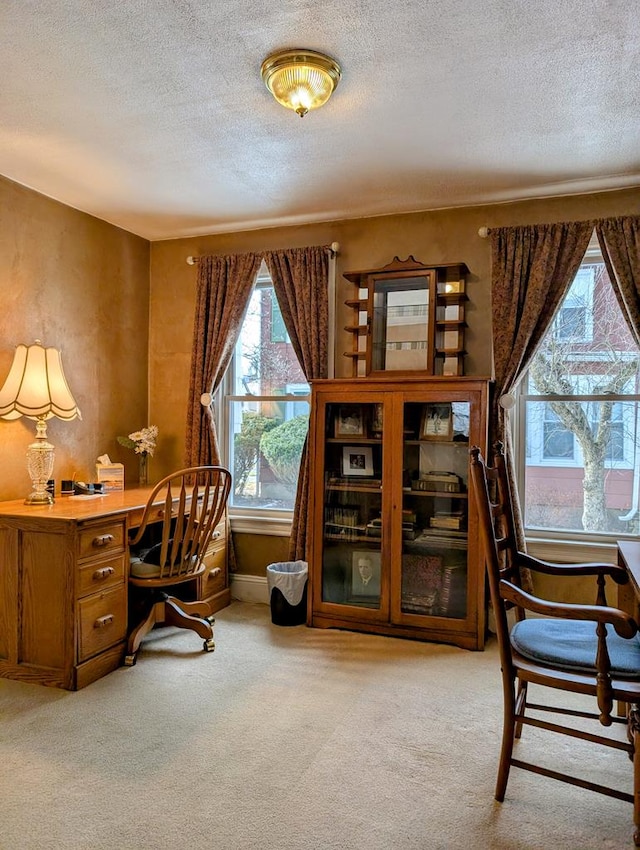 carpeted office with a textured ceiling