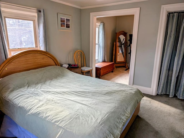 carpeted bedroom with crown molding and a closet