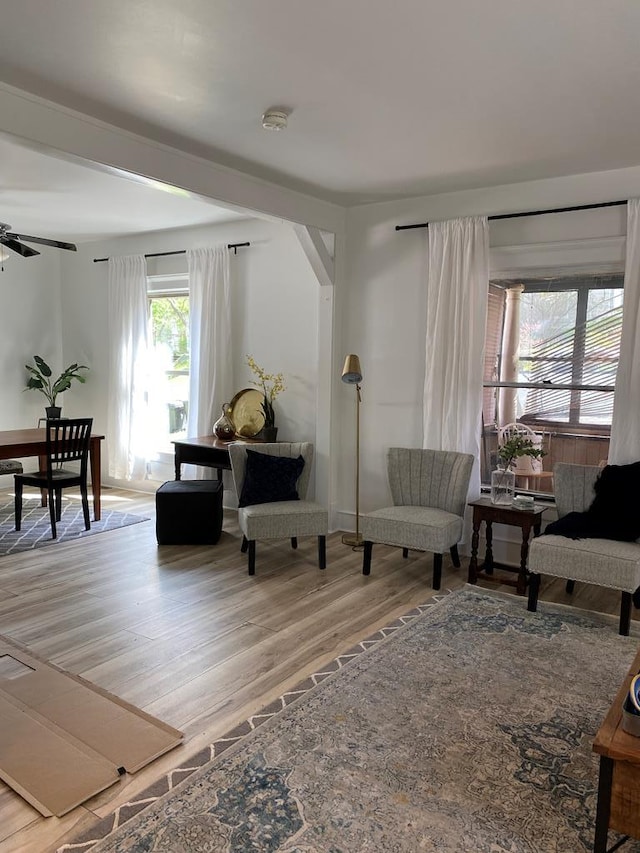 living room with hardwood / wood-style floors and ceiling fan