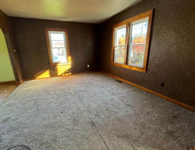 spare room featuring carpet floors