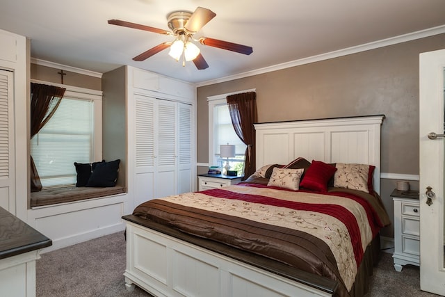 bedroom with ceiling fan, a closet, crown molding, and dark colored carpet