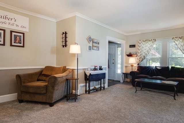 sitting room with carpet floors and crown molding