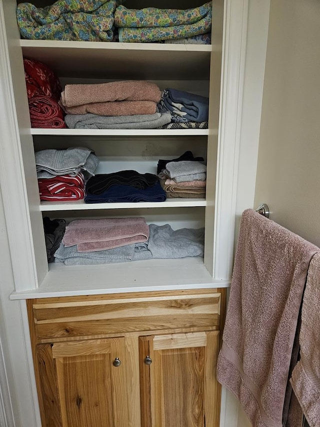 view of closet