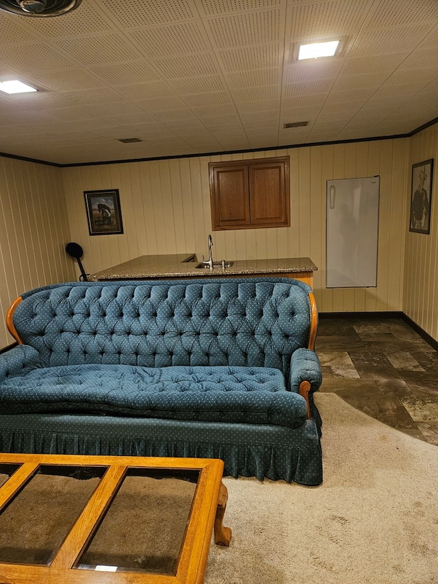 living room with sink and wood walls