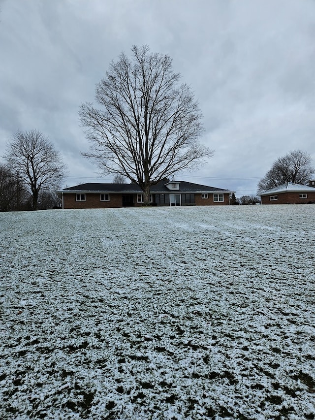 view of yard layered in snow