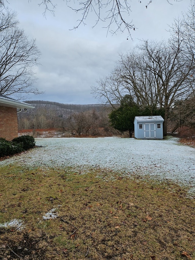 view of yard with a storage shed