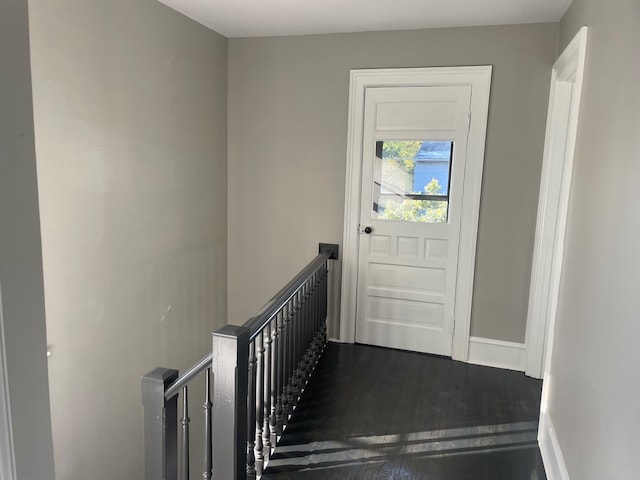 entryway featuring dark hardwood / wood-style flooring