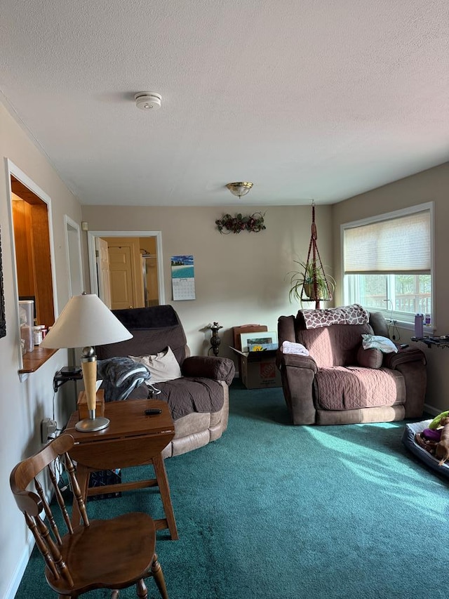 living room with carpet floors and a textured ceiling