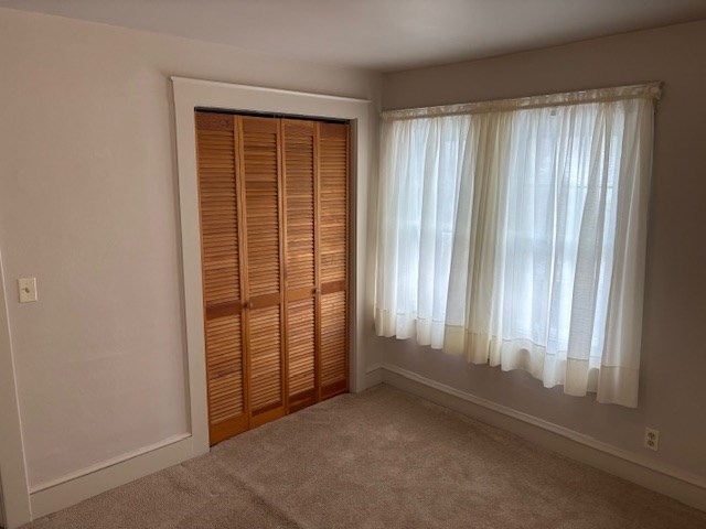 unfurnished bedroom with a closet and carpet flooring