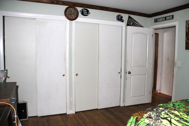 bedroom with dark wood-type flooring and two closets