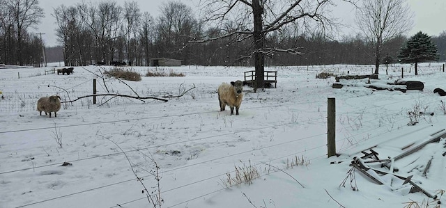 view of yard layered in snow