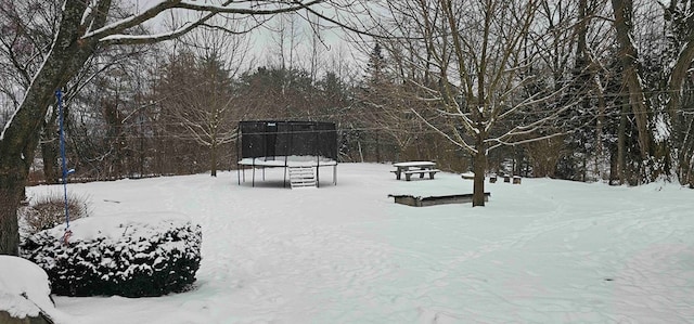 yard covered in snow with a trampoline