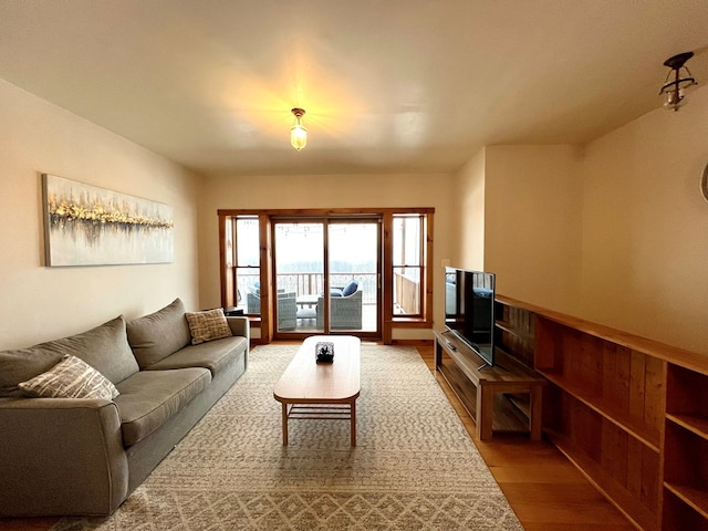 living room featuring wood-type flooring