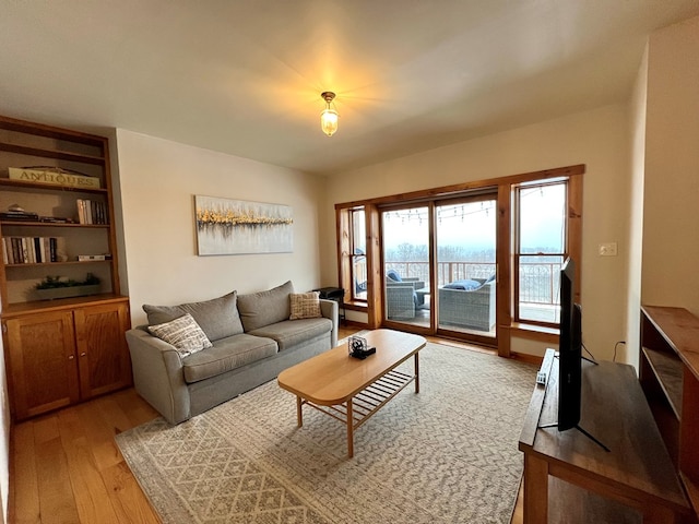 living room featuring light hardwood / wood-style floors