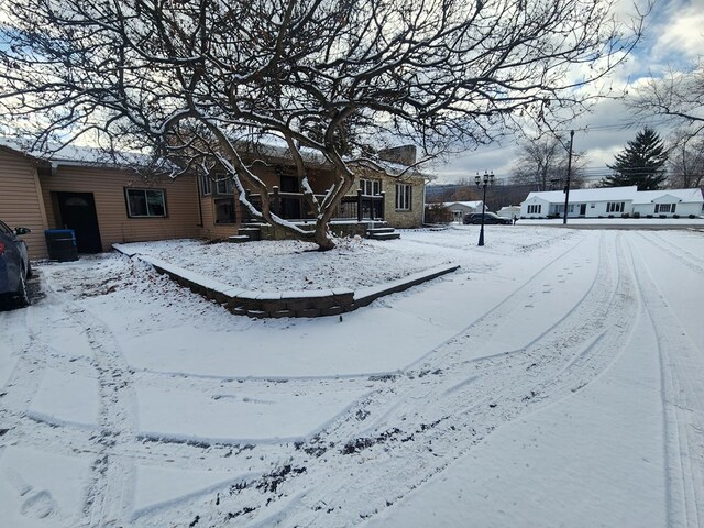 view of yard covered in snow