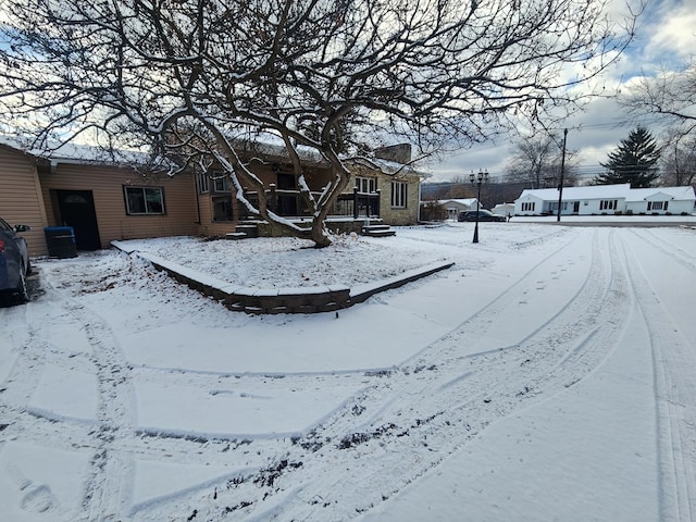 view of snowy yard