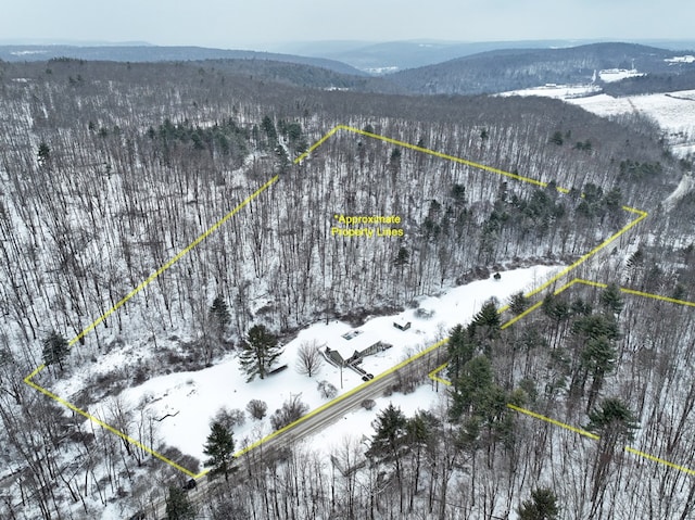 snowy aerial view featuring a mountain view