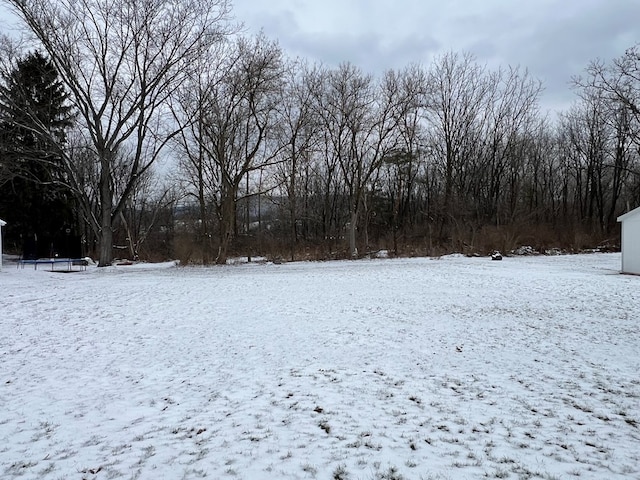 view of yard layered in snow