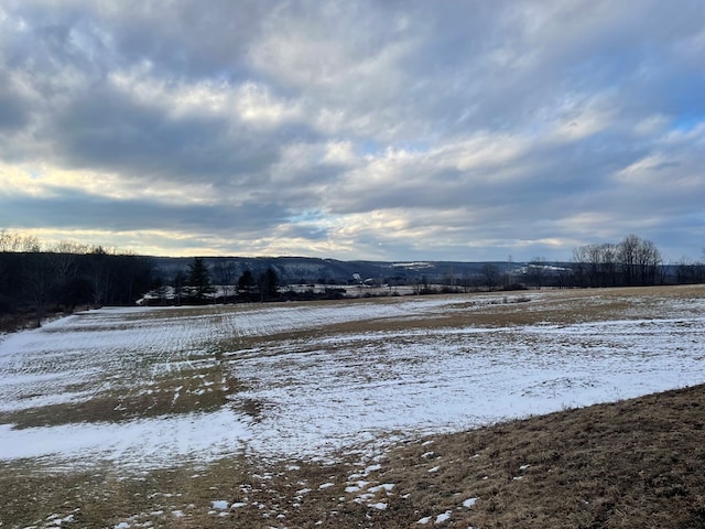 yard covered in snow with a rural view and a mountain view