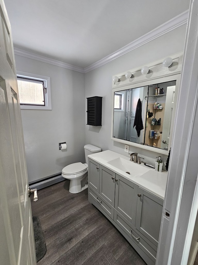 bathroom featuring vanity, wood-type flooring, ornamental molding, and baseboard heating