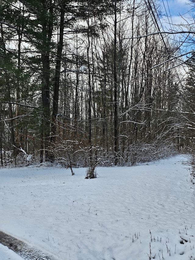 view of snowy view