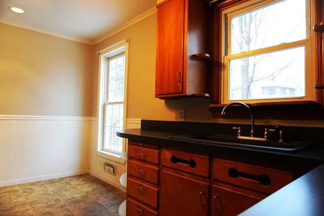 kitchen with crown molding, sink, and a healthy amount of sunlight