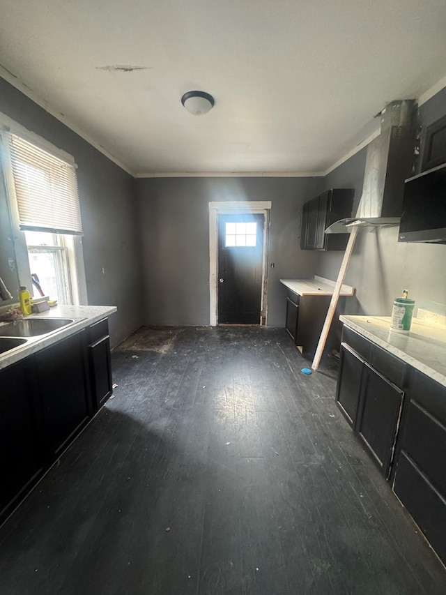 kitchen with dark hardwood / wood-style floors, sink, and ornamental molding