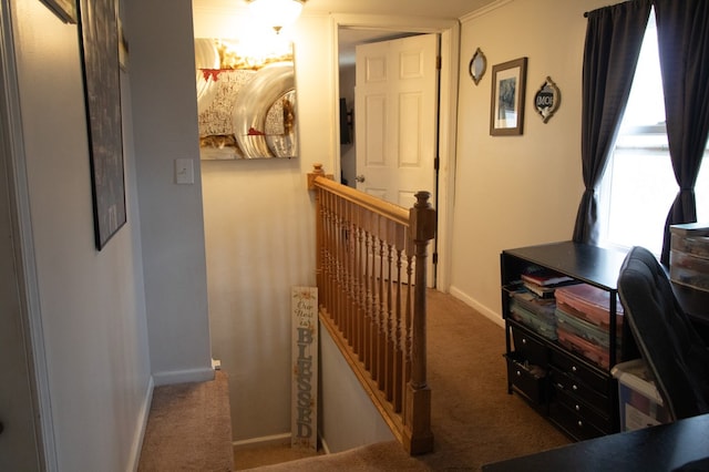 corridor with carpet flooring