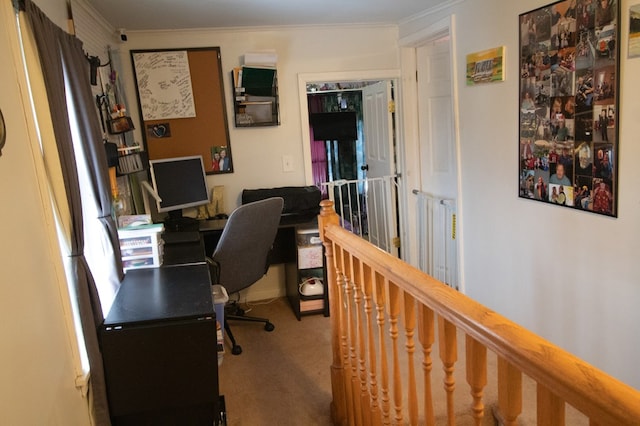 carpeted office space featuring ornamental molding