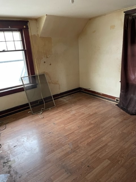 spare room with wood-type flooring and lofted ceiling